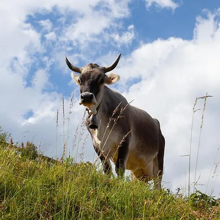 Rayan 4 Etoiles - Proche & Vieille Ville, Garage Prive, Secteur Recherche *