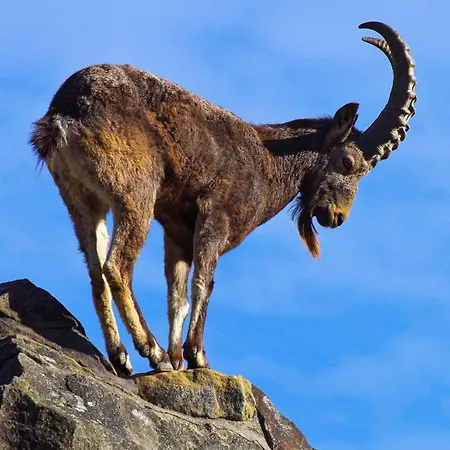 Rayan 4 étoiles - Proche Lac&vieille Ville, Garage Privé, Secteur Recherché * Annecy