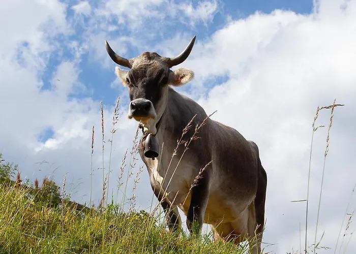 Rayan 4 Etoiles - Proche & Vieille Ville, Garage Prive, Secteur Recherche *