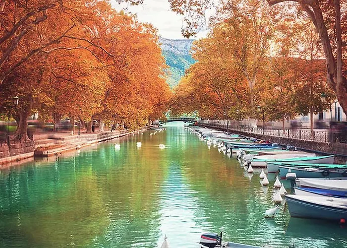 Rayan 4 Etoiles - Proche & Vieille Ville, Garage Prive, Secteur Recherche * 阿讷西