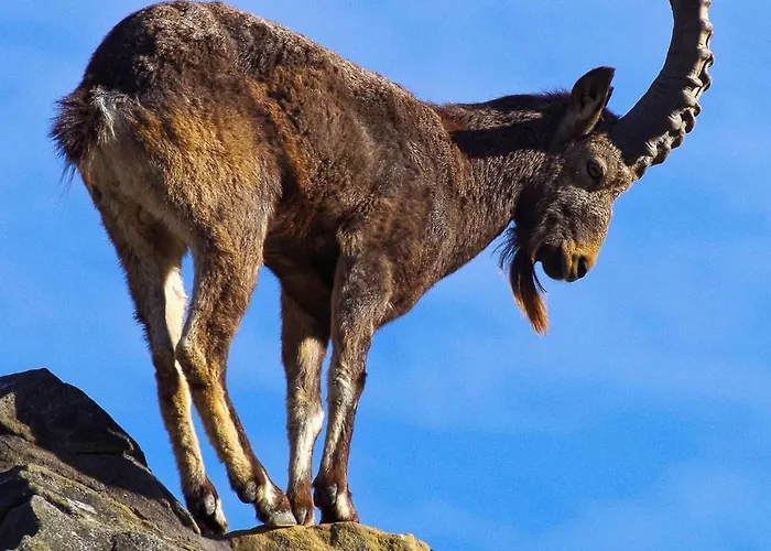 Rayan 4 Etoiles - Proche & Vieille Ville, Garage Prive, Secteur Recherche * 阿讷西