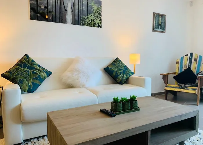 公寓 Rayan 4 Etoiles - Proche & Vieille Ville, Garage Prive, Secteur Recherche 阿讷西